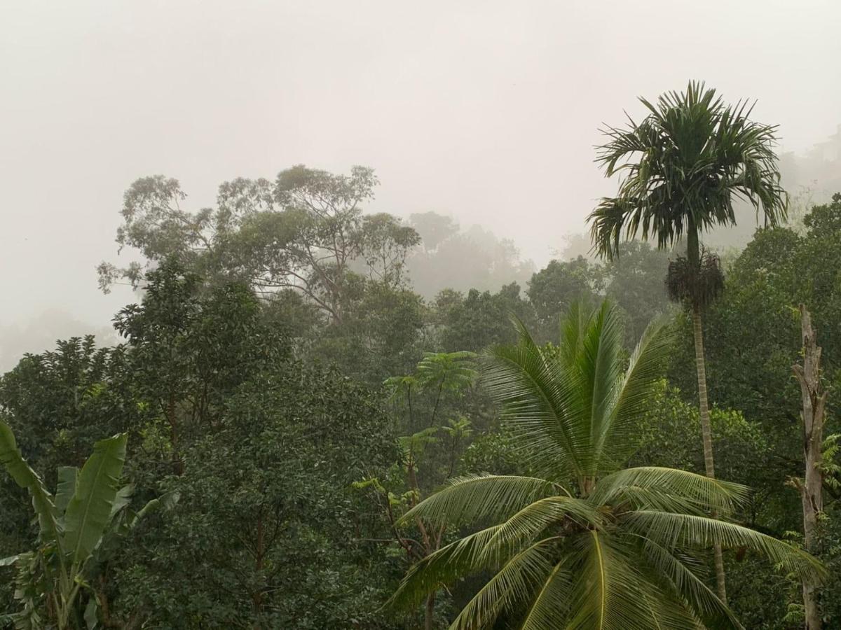 Jungle View Cottage Ella Eksteriør billede